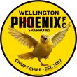 New Wellington Phoenix Logo - Woodward Games